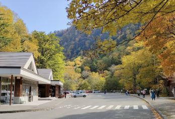日本北海道札幌-青池-白须瀑布白金温泉【中文专车 悦享旅途】【中文专车出行，景点灵活调整，打卡经典，游玩自己定义，无需等待，专属贴心服务，尽享惬意旅程】