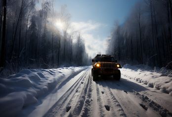 漠河+白桦林+乌苏里浅滩+龙江第一湾+北极村独立包车环线游【无需拼车，说走就走，时间自己安排，无需要承担司机住宿】