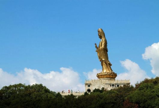 普陀山一日游【观音古洞，普济寺，南海观音，纯玩天天发】【安心出游：宁波舟山均可参团，天天发团】
