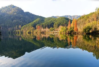 广东南雄帽子峰旅游景区一日游【2人起上门接】银杏林+黄金大道【不出广东赏秋畅游金色的童话世界】