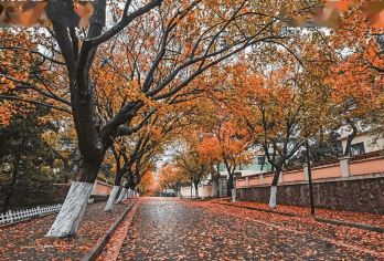 青岛海洋世界+乘船游+赶海一日游【上门接送，纯玩无购】【专车专享，随走随停，行程自由听你安排】