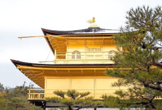 日本大阪-难波八坂神-通天阁-心斋桥-道顿堀-经典景点+购物【专业行程定制，精选热门景点，高效游玩不走回头路，贴心服务保障，轻松】