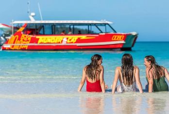 圣灵群岛白天堂雷霆猫/霹雳猫号【希尔湾观景台丨午餐丨浮潜】【[特色体验]一天内提供环绕圣灵群岛的令人振奋的旅程】