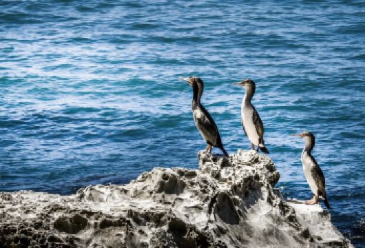 新西兰皇后镇皇后镇日出热气球-剑镇-皇后镇周边一日游-私家游【精选热门景点，高效游玩不走回头路，深度了解文化内涵，贴心服务保障，轻松享受旅程，性价比超高的旅行。】