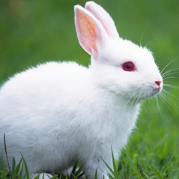 河北张家口草原天路一日游【66号公路+随走随停+上门接送】