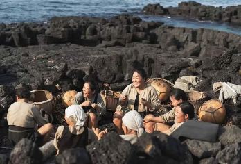 韩国济州岛南线拼车一日游【邮轮专属-西归浦港出发｜14人团】【上门接送|中文服务|南线：山茶花之丘|柱状节理带|西归浦每日偶来市场|行程自由】