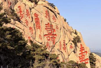 青岛崂山·崂山仰口游览区+崂山太清游览区一日游·精品九人团【[崂山深度游]醉美环海公路，打卡网红青山渔村，带您感受独特的崂山沿海一线超美景色体验。】