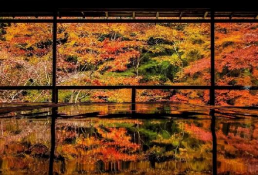 日本京都-琉璃光院-三千院-贵船神社-岚山-红叶巡礼-红叶季【专业行程定制，精选热门景点，高效游玩不走回头路，贴心服务保障，轻松】