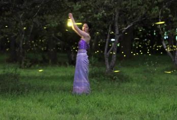 西双版纳热带植物园一日游+夜游+金牌导游日夜游讲解+探秘昆虫【赏日夜全景，领会热带植物的万种风情，探秘夜幕下的大自然，神秘而充满童趣；】