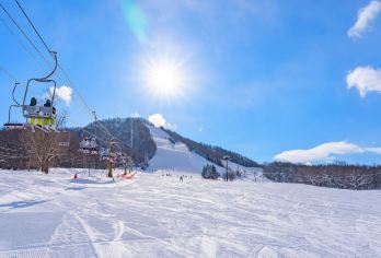 日本北海道-札幌往返-美瑛-富良野-旭川-红叶/冬季必打卡【专业行程定制，精选热门景点，高效游玩不走回头路，贴心服务保障，轻松】
