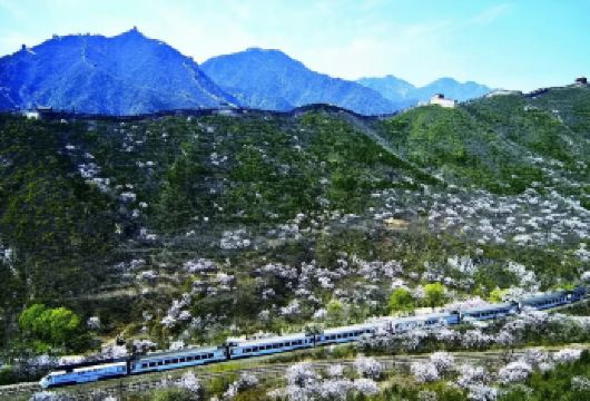 北京居庸关长城2-8人英文私家团【专车专导服务上门接送】【[文化之旅]包含居庸关长城门票、观鸟巢水立方外景、专车服务，英文导游一对一服务。】