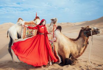 中卫沙坡头+腾格里沙漠+一日游【上门接+含门票】【[舒心游玩]西北旅游更适合2-6人一团，精心化安排人数，无需耗时等待，惬意旅行】