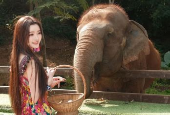 西双版纳原始森林公园+野象谷一日游【18人精品团/导游讲解】【轻奢纯玩，畅游版纳，朋友式概念，不打卡不走马观花，让旅行重回温度；】