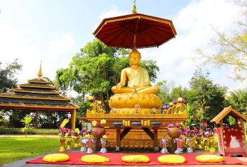 云南西双版纳打洛镇+勐景来+国门+独树成林景区一日游【[品质保障]正规旅游巴士，优良老司机，贴心管家式服务， 领队全程陪同讲解或当地哨哆哩村导讲解】