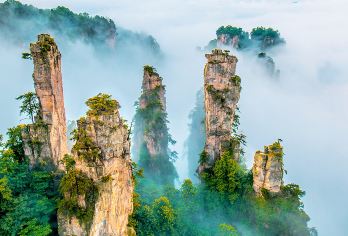 张家界国家森林公园+张家界七十二奇楼一日游【一价全含】【[品质专线]全新升级深度游，高分好评，打卡核心网红景点——袁家界、百龙电梯、十里画廊、天子山。】