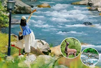 喇叭河一日游【秋意浓 含门票 可选东西线游览】【清凉一夏，真纯玩不进店无购物】