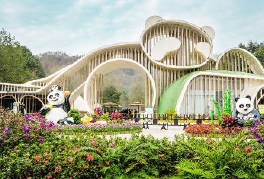 熊猫谷-仰天窝广场-都江堰1日游6人小团+成都三环内上门接送【[真小团]7座商务车，最多6位客人，1团1导游】