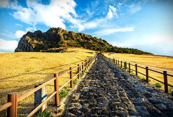 济州岛一日游D线【牛岛+城山日出峰+涉地可支+月汀里+咸德】【无购物小团纯玩，升级接送服务，免去您的后顾之忧。】