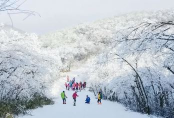 【龙王山一日游】海拔1587米看雪，纯玩无购物【低于12人活动自动取消（只能原额退款或改其它同期成团线路，不做任何赔偿）】