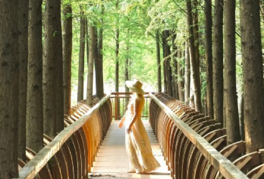 官渡古镇+捞渔河湿地公园+斗南湿地公园+海晏村一日游：私家团【[实力保障]昆明一日游集团品质严选线路，拥有自己的车队、司机，全程品质把控，专业一手资源】