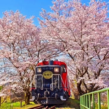 京都三千院+贵船神社+岚山一日游【精品小团含岚山小火车】