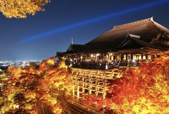 日本京都伏见稻荷大社-清水寺-平安神宫【中文专车 舒适纯净】【中文专车出行，景点灵活调整，打卡经典，游玩自己定义，无需等待，专属贴心服务，尽享惬意旅程】