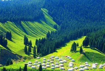 南山牧场一日游【西白杨沟+乌拉斯台草原+瀑布+纯玩无购物】【[品质行程] 全程纯玩无购物，绝无强制消费，让您放心出游】