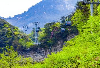 金佛山一日游【2-6人小团丨上门接送丨纯玩无购物】【[品质亮点]：含门票，您不操心繁琐的排队购票事情及等待苦恼，旅游管家为您操办一切，没有后顾之忧。】