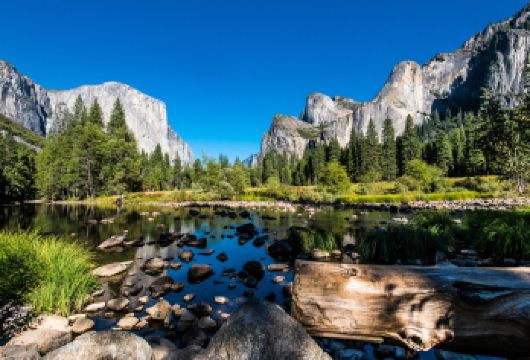 美国旧金山出发优胜美地 + 巨杉林小团一日游【英文团】【带您穿越中央山谷的果园，前往誉为美国众多壮丽国家公园中的皇冠上的宝石——优胜美地国家公园；】