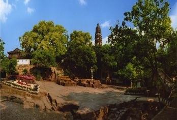 苏州拙政园+狮子林纯玩精品半日游【专业导游讲解】【70岁老年人或退役军人优惠套餐，无证件勿拍，请知晓谢谢。】