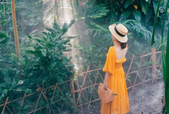 厦门网红园林植物园+赶海+香山帆船·门票+接送+午餐+讲解【门票全含无坑：植物园+帆船一价搞定，拒绝隐形消费。VIP专车接送全程舒适座驾，无缝衔接各景点省心省力】