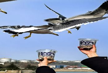 威海/荣成一日游包车（行程自由）【品质出游】