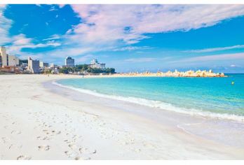 日本大阪和歌山城+白良滨一日游【专车服务+行程可调+酒店接送+中文服务】