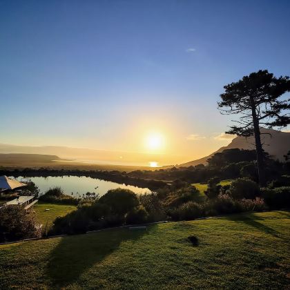 沉船、灯塔与悬崖酒庄：开普敦半岛探秘   中英文司机 一日游