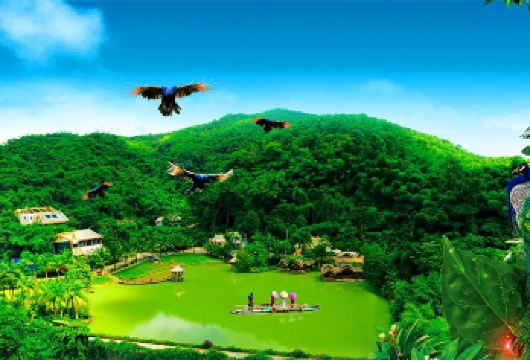 云南西双版纳原始森林公园+曼远村一日游【独立用车丨酒店接送】【[品质保障]一单一车，全程只为您服务不论您多少人，司机、用车、等全程都是为您服务】