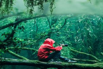 腾冲高黎贡山徒步直达毛毛球原始森林3至22km+野温泉【1人起订，2人起发团（1人可咨询客服下单），没有成团免费退改，不指定座位。】