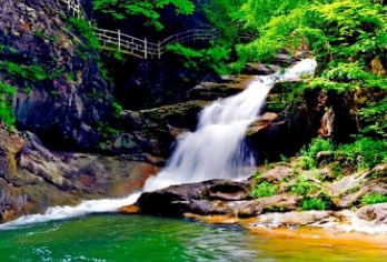 西安金丝峡一日游【瀑布飞泻而下，泉水潺潺流淌/天然大氧吧】【金丝峡森林覆盖率高，树木繁茂，一片翠绿，充满了生机与活力。】