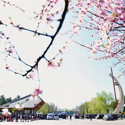 伪满皇宫+长影旧址+净月潭【十佳·导游·耳麦讲解·特色吉菜】