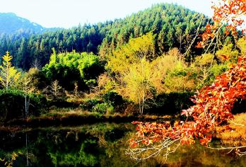 2人起私家团帽子峰珠玑古巷一日游韶关上门接送【所选城市市区免费上门接送，方便快捷，省时省力（时间可微调）】