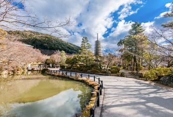 日本京都包车：清水寺+岚山+三年坂二年坂+岚山小火车一日游【经典日游-中文服务-专车接送-私家定制-行程自由】