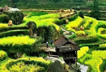 柳州+融水雨卜苗寨景区(3A)+梦呜苗寨/多国语言导游@【景区内有苗岭晨光、龙贡漂流、三友瀑布、千年古榕、雨梅观景、大盘竹海、龙宝大峡谷等有名景点，自然风景】