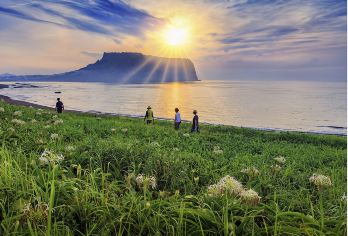 韩国济州岛一日包车｜畅想济州海风与火山草原&灵活小众全覆盖【一车一团，专属包车服务，从港口出发一站直达岛上精华地： 城山日出峰 / 山君不离 / 天地渊瀑布】