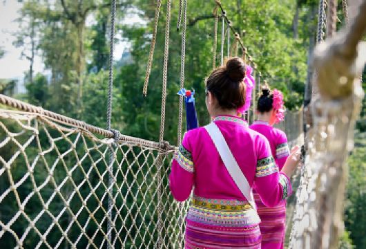 望天树景区一日游【优选精品团+探秘雨林水陆空套票+精选导游】【专业经营纯玩，轻松休闲旅行，真心纯玩无购物，不进店，提高体验度；】