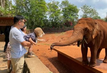 海南热带野生动植物园一日游【包车游丨火山口丨骑楼老街】【亲子纯玩上门接送独立小团】
