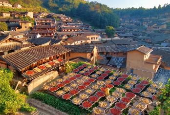 【福建版“小婺源”】桂峰古村落+4A朱子文化园汽车1日游【四周群山环抱、目之所及山峰、绿树连绵不绝、古朴淡雅的气息萦绕胸腔，有古道、古街、古树、古书斋……】