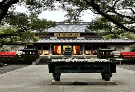 岳王庙景区+西湖风景区苏堤深度讲解半日游【岳王庙精讲：深入解读岳飞生平与宋韵历史，感受忠魂精神与建筑艺术融合。】