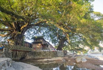 南靖云水谣古镇+厦门万石植物园包车一日游【[本地旅行社资质齐全]天天发团，自有车队，客家专业司机10年驾龄经验】
