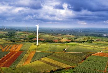 湛江菠萝的海+南极村一日游【1人起订√ 2~6人纯玩团】【家庭游，情侣游，闺蜜游，亲子游。】