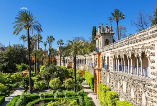 塞维利亚主教堂+塞维利亚王宫+圣十字区+彼拉多官邸+都市阳伞【精品包车，私享空间，上门接送，轻松出行】