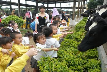 光明滑草游乐园一日游【公司团建·滑草·射箭】【吃：光明乳鸽】